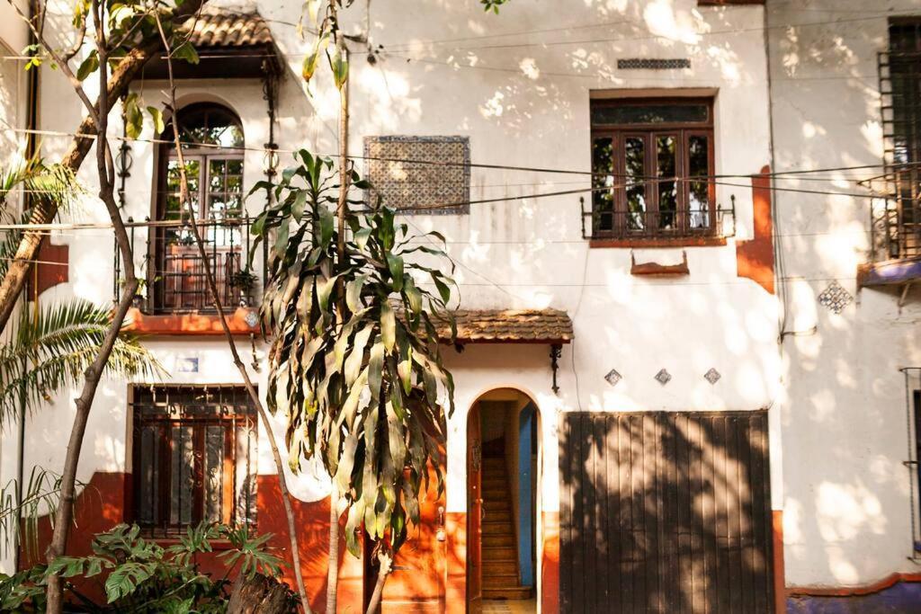 Luxury Condesa Apartment